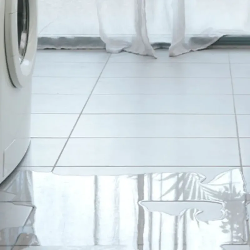 Appliance Leak Cleanup in Weare, NH