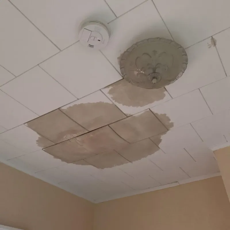 Ceiling Water Damage Repair in Weare, NH