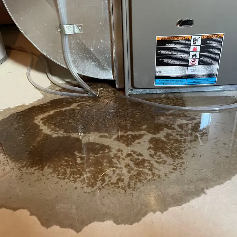 Pipe Burst and Leak Restoration in Weare, NH